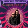 affiche INFECTED MUSHROOM