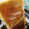 affiche La récolte des miels - La folie de finfarine - Journées du Patrimoine 2022