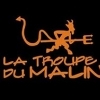 affiche LES MATCHS DE LA TROUPE DU MALIN