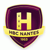 affiche HBC NANTES / PSG