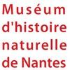 Muséum d'Histoire Natuelle de Nantes